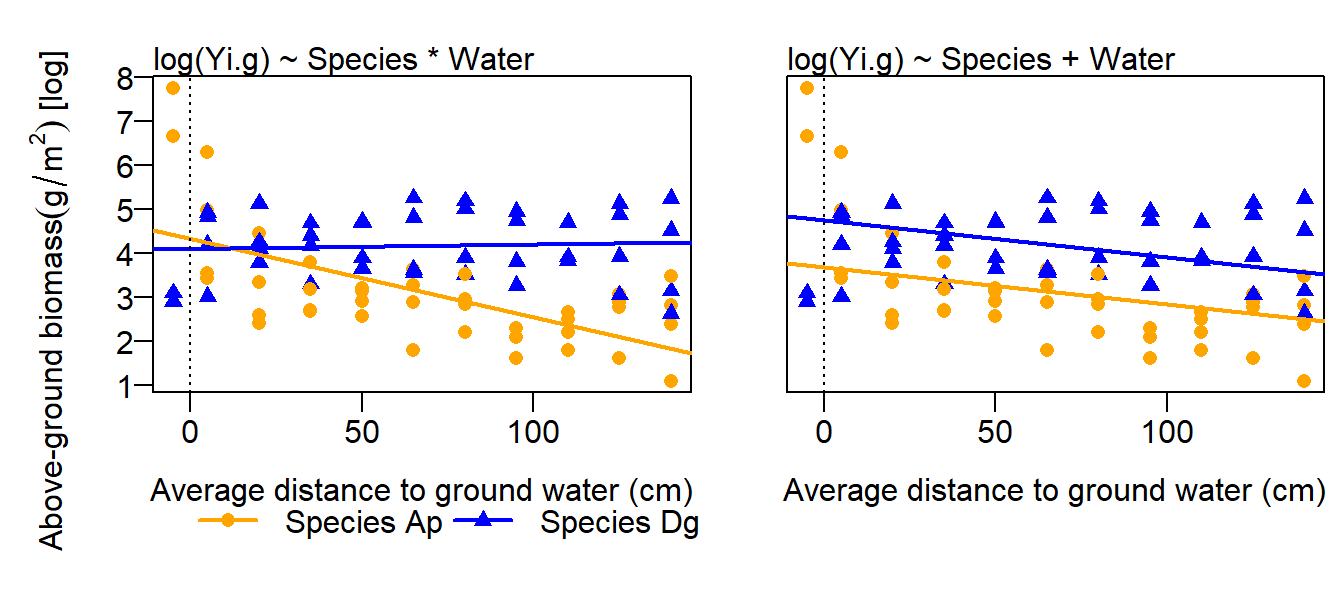 Aboveground biomass (g, log-transformed) in relation to distance to ground water and species (two grass species). Fitted values from a model including an interaction species x water (left) and a model without interaction (right) are added. The dotted line indicates water=0.