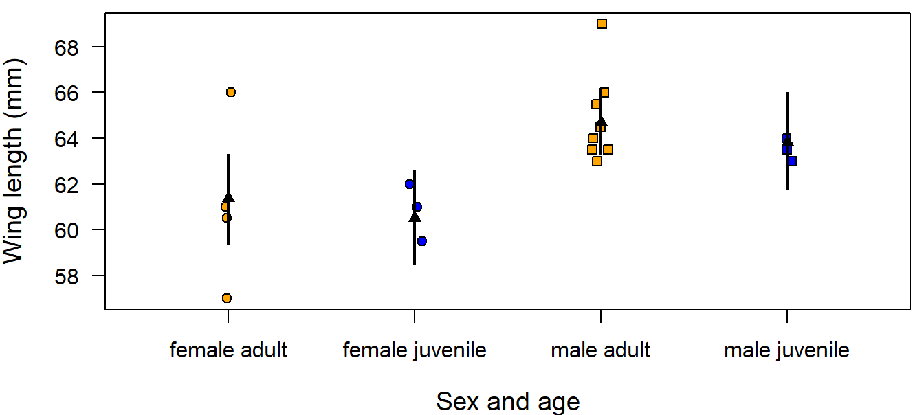 Wing length measurements on 19 museumm skins of coal tits per age class and sex. Fitted values are from the additive model (black triangles) and from the model including an interaction (black dots). Vertical bars = 95% uncertainty intervals.