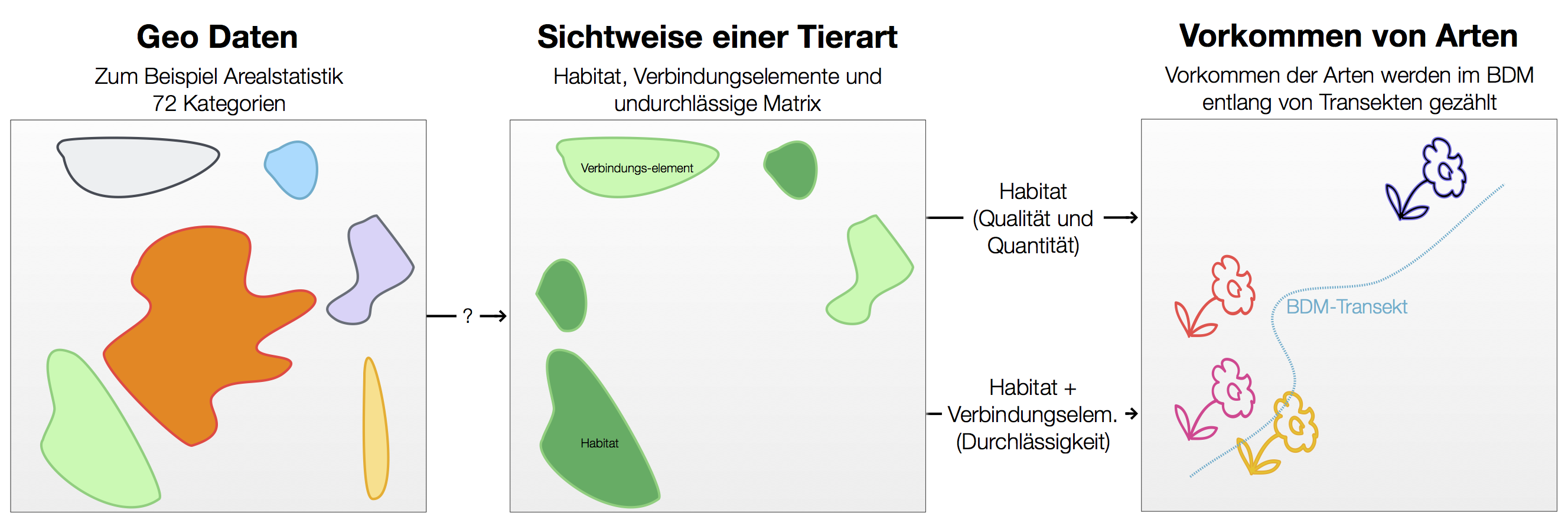 Konzeptionelles Vorgehen. Details siehe Text.